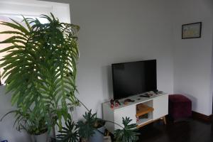 a living room with two potted plants and a tv at Casa Towanda in San Carlos de Bariloche