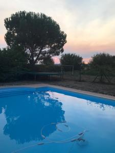 gîte de Fontjalabert en campagne tout confort内部或周边的泳池