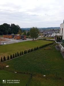 uitzicht op een park met bomen en gebouwen bij Apartament Lawendowy in Kudowa-Zdrój