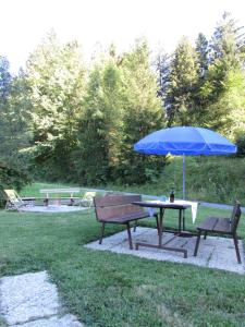 een picknicktafel met een blauwe paraplu en twee banken bij Bachhäusl in Hof bei Salzburg