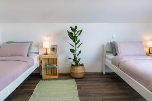 two beds in a room with a potted plant at Villa Cerkniško jezero in Cerknica