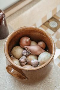 a bucket full of onions sitting on a counter at Logement Cornelia - Tholen, Zeeland in Tholen