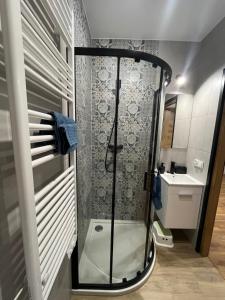 a shower in a bathroom with a toilet and a sink at Apartament Willa Bellevue in Rabka