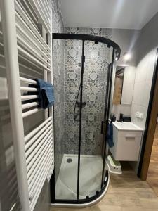 Kúpeľňa v ubytovaní Apartament Willa Bellevue