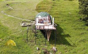 Zahrada ubytování Glamping Reserva del Roble