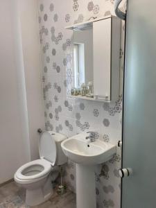 ein Badezimmer mit einem WC, einem Waschbecken und einem Spiegel in der Unterkunft Dana Studio in Tulcea