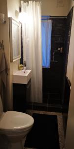 a bathroom with a toilet and a sink and a shower at Helle´s casa in Herning