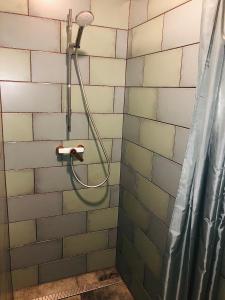 een douche met een slang in de badkamer bij Apartman u lesa in Horšovský Týn