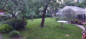 a garden with a table and a greenhouse at Studentiški apartamentai Palangoje in Palanga