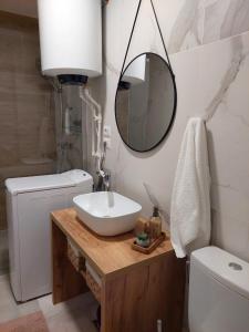 a bathroom with a sink and a toilet and a mirror at Ela's apartment in Băile Herculane
