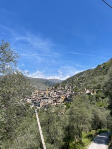 a small town on a hill with trees and a road at Appartement cocooning in Saorge