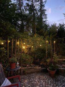 Zahrada ubytování Mimi's natuurhuisje
