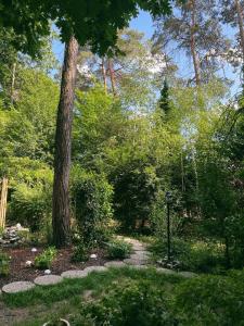 Zahrada ubytování Mimi's natuurhuisje