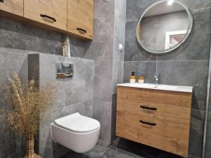 a bathroom with a toilet and a sink and a mirror at Apartament Iławianka in Iława