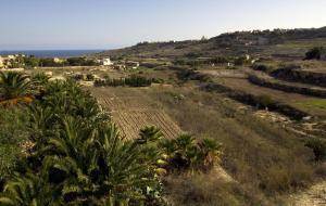 a view of a hill with palm trees and the ocean at Villa Boomerang in Għasri