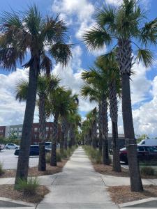 a sidewalk lined with palm trees next to a parking lot at KING BED/pool/Trendy nbhd Peacock in Charleston