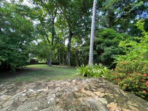 Imagen de la galería de Villa Montana, en Contadora