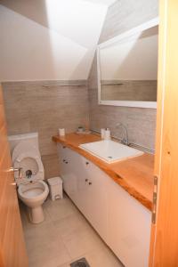 un baño con lavabo e inodoro en Gora Home 9, en Žabljak 44 fotos más