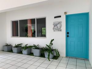 uma porta azul e uma fila de vasos de plantas em Villa Montana em Isla Contadora