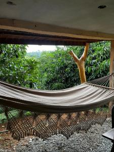a hammock in front of a window with trees at Bioevoluir in Igaratá