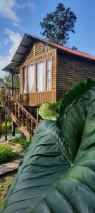 una casa con una gran hoja verde frente a un edificio en La Guarida eco-posada, en San Antonio del Tequendama