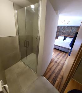 a walk in shower in a room with a bedroom at Haus zur Heugabel in Kesten