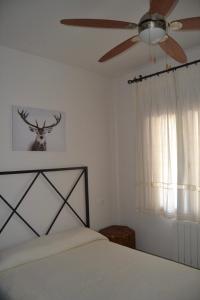 una camera con letto e ventilatore a soffitto di Alojamiento Rural Dehesa La Estancia ad Andújar