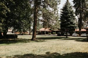 Gallery image of Cedar Village Motel in Spokane