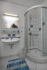 a bathroom with a shower and a toilet and a sink at Apartments with a parking space Selce, Crikvenica - 5366 in Selce