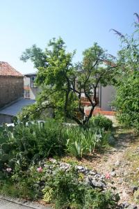 Zahrada ubytování Apartment Selce 5366b
