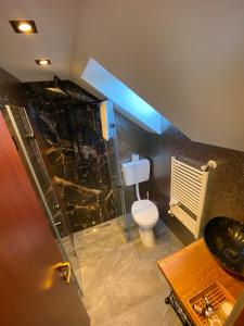 ein Badezimmer mit Toilette und Glasdusche in der Unterkunft Casa Lucky in Râșnov