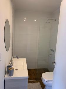 a white bathroom with a toilet and a sink at 11 de abril. Loft in Bahía Blanca +5 photos