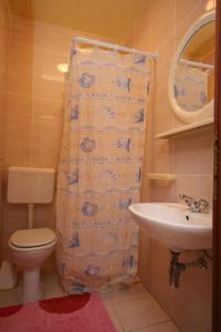 ein Bad mit einem WC und einem Waschbecken in der Unterkunft Apartment Mandre 6456b in Mandre