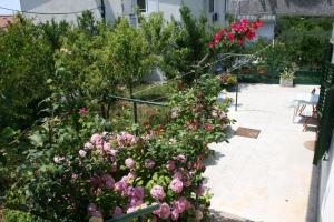 Fotografia z galérie ubytovania Apartments with a parking space Podgora, Makarska - 6645 v Podgore
