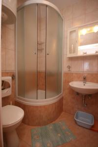y baño con ducha, aseo y lavamanos. en Apartments by the sea Tucepi, Makarska - 6806 en Tučepi