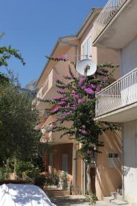 un edificio con un albero con fiori viola di Apartment Tucepi 6806b a Tučepi