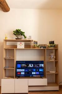 TV en una estantería de libros con TV en Casa Domitilla Vista Mare - Spiagge, Storia & Relax Wifi - Netflix en Terracina