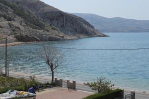 Fotografia z galérie ubytovania Apartments by the sea Metajna, Pag - 6466 v destinácii Zubovići