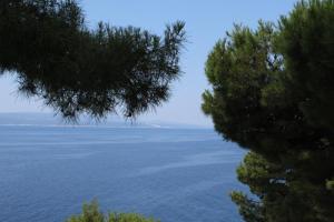 Fotografia z galérie ubytovania Apartments by the sea Brela, Makarska - 6674 v destinácii Brela