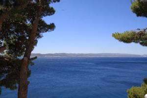 Fotografia z galérie ubytovania Apartments by the sea Brela, Makarska - 6674 v destinácii Brela