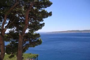 Fotografia z galérie ubytovania Apartments by the sea Brela, Makarska - 6674 v destinácii Brela
