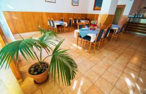 an overhead view of a restaurant with a table and a plant at Apartments and rooms by the sea Starigrad, Paklenica - 6634 in Starigrad