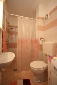 y baño con aseo y lavamanos. en Family friendly house with a swimming pool Breze, Novi Vinodolski - 6920 en Ledenice