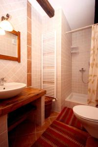 Ledenice的住宿－Family friendly house with a swimming pool Breze, Novi Vinodolski - 6920，浴室配有盥洗盆、卫生间和浴缸。