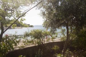 Fotografia z galérie ubytovania Apartments by the sea Okrug Gornji, Ciovo - 8330 v Trogiri