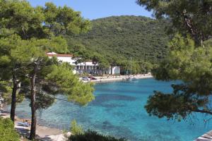 a body of water with trees and a beach at Apartments by the sea Pasadur, Lastovo - 8337 in Ubli