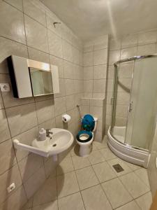 uma casa de banho com um WC, um lavatório e um chuveiro em Apartments by the sea Zaklopatica, Lastovo - 8342 em Lastovo