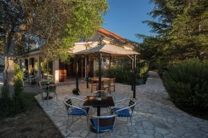 Fotografie z fotogalerie ubytování Apartment Ugljan 8241d v destinaci Ugljan