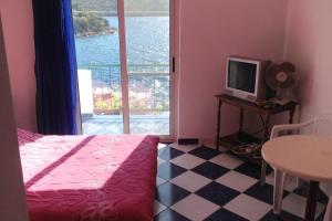 Televízia a/alebo spoločenská miestnosť v ubytovaní Apartments by the sea Pasadur, Lastovo - 8391