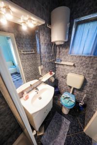 a bathroom with a sink and a toilet and a mirror at Studio Brbinj 8160a in Brbinj